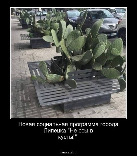 Новая социальная программа города Липецка "Не ссы в кусты!" 