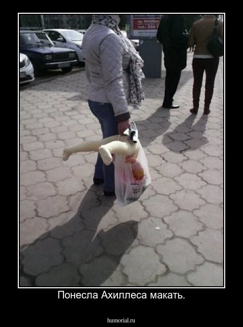 Понесла Ахиллеса макать.
