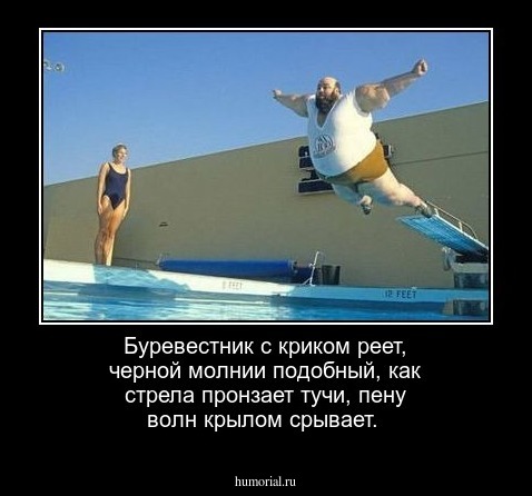 Буревестник с криком реет, черной молнии подобный, как стрела пронзает тучи, пену волн крылом срывает.
