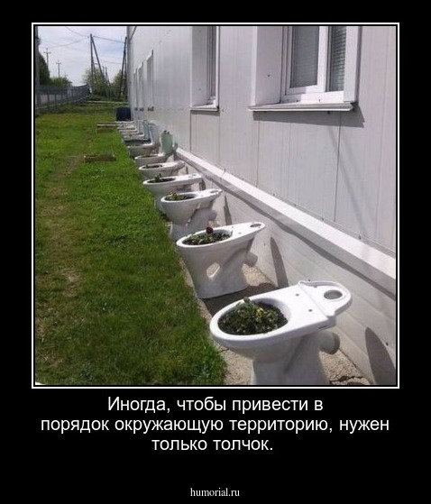 Иногда, чтобы привести в порядок окружающую территорию, нужен только толчок.