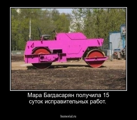 Мара Багдасарян получила 15 суток исправительных работ.