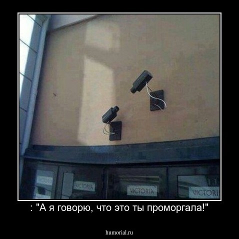 : "А я говорю, что это ты проморгала!"