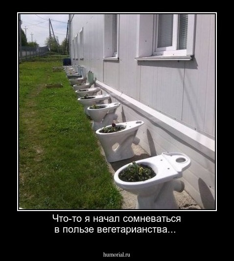 Что-то я начал сомневаться в пользе вегетарианства...