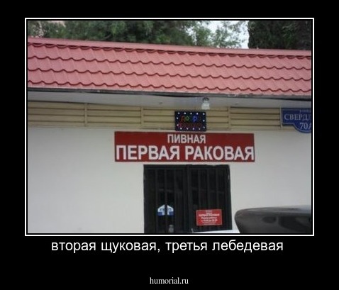 вторая щуковая, третья лебедевая 