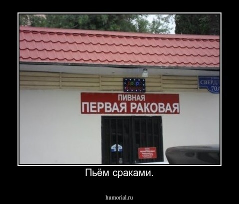 Пьём сраками.