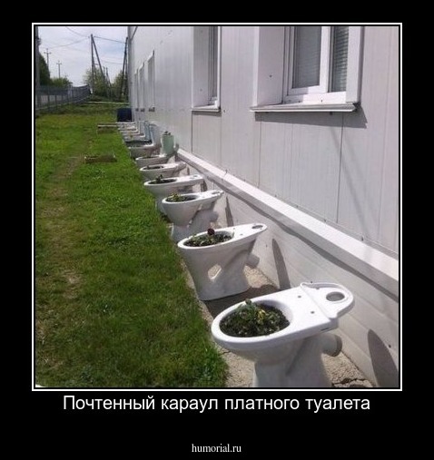 Почтенный караул платного туалета