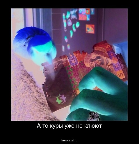 А то куры уже не клюют