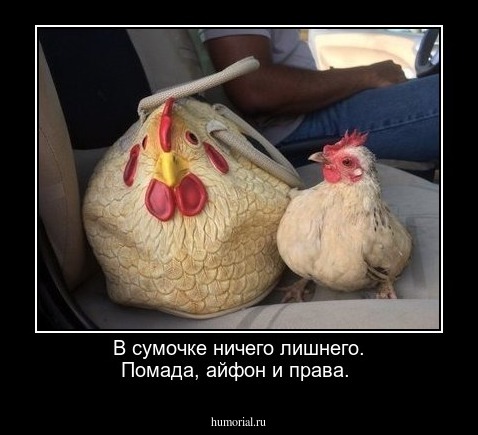 В сумочке ничего лишнего. Помада, айфон и права. 