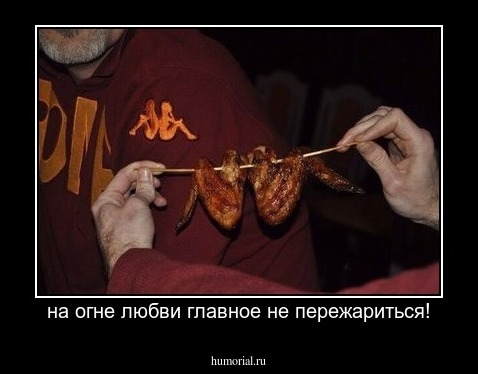 на огне любви главное не пережариться!