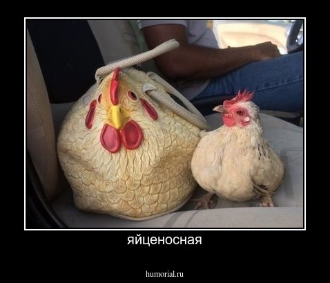 яйценосная