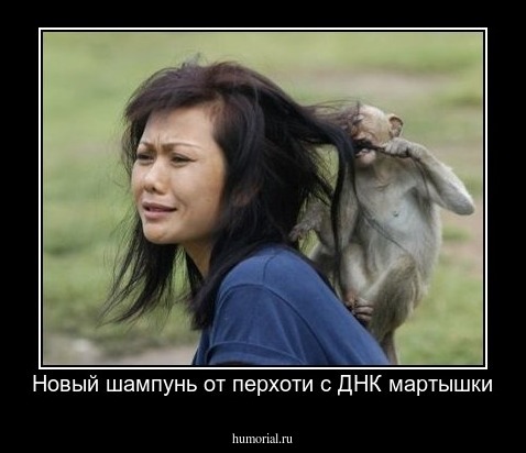Новый шампунь от перхоти с ДНК мартышки