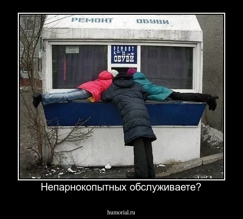 Непарнокопытных обслуживаете?