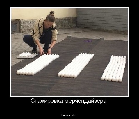 Стажировка мерчендайзера 