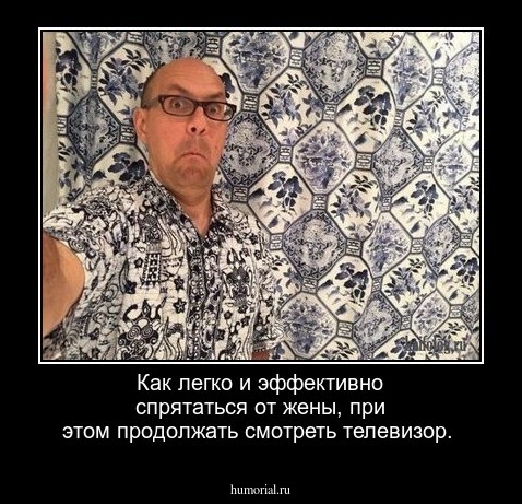 Как легко и эффективно спрятаться от жены, при этом продолжать смотреть телевизор.