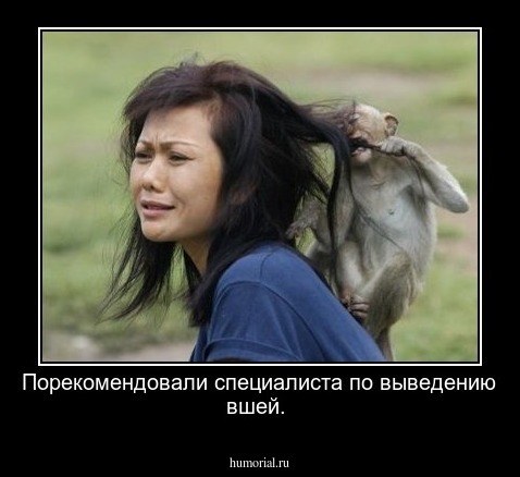 Порекомендовали специалиста по выведению вшей.