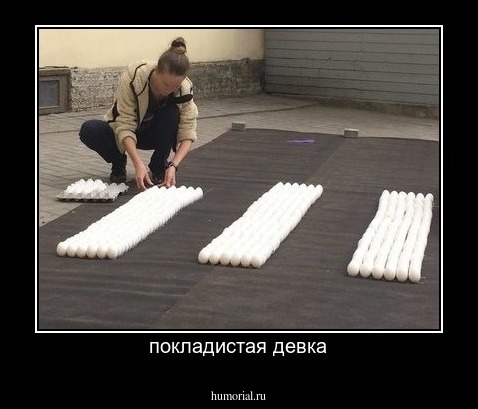 покладистая девка