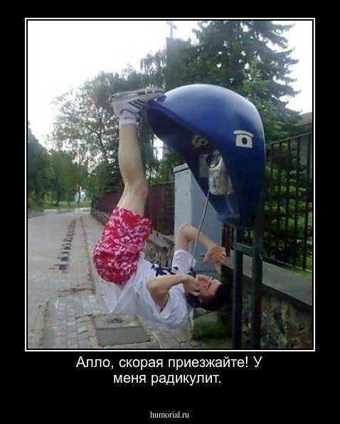Алло,  скорая приезжайте!  У меня радикулит. 