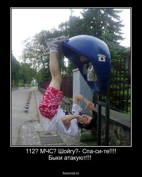 112? МЧС? Шойгу?- Спа-си-те!!!! Быки атакуют!!!