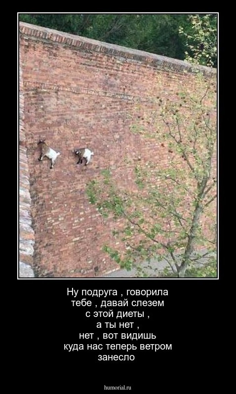 Ну подруга , говорила тебе , давай слезем с этой диеты , а ты нет , нет , вот видишь куда нас теперь ветром занесло 