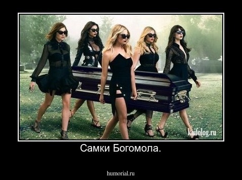 Самки Богомола.