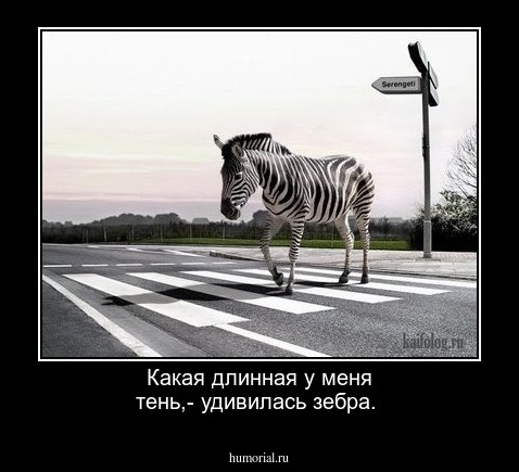 Какая длинная у меня тень,- удивилась зебра.