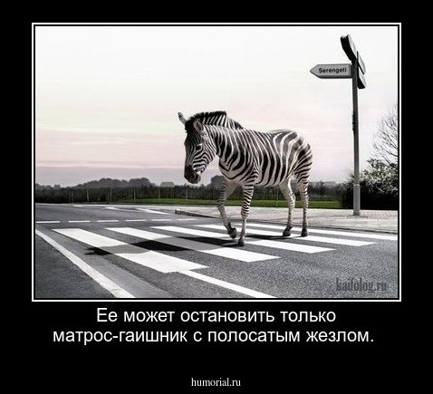 Ее может остановить только матрос-гаишник с полосатым жезлом.