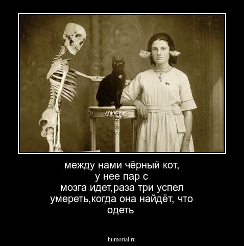 между нами чёрный кот, у нее пар с мозга идет,раза три успел умереть,когда она найдёт, что одеть