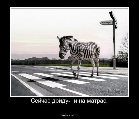 Сейчас дойду-  и на матрас.