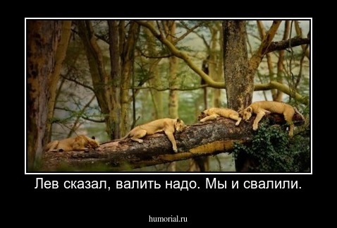 Лев сказал, валить надо. Мы и свалили.