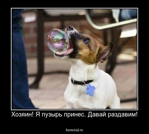 Хозяин! Я пузырь принес. Давай раздавим!