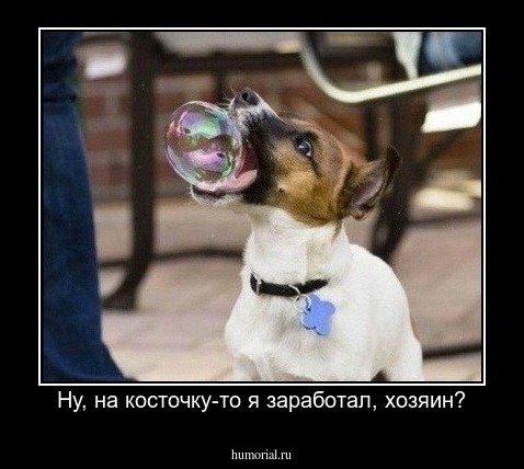 Ну, на косточку-то я заработал, хозяин?