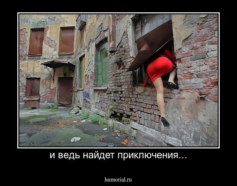 и ведь найдет приключения...