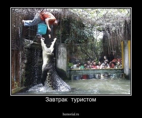 Завтрак  туристом
