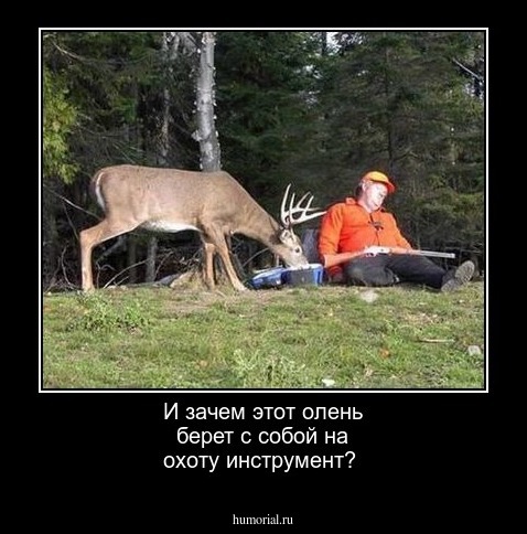 И зачем этот олень берет с собой на охоту инструмент? 