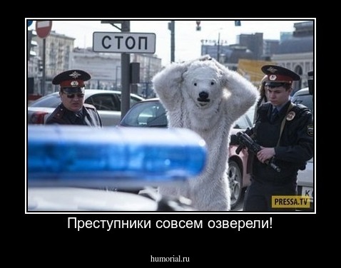 Преступники совсем озверели!