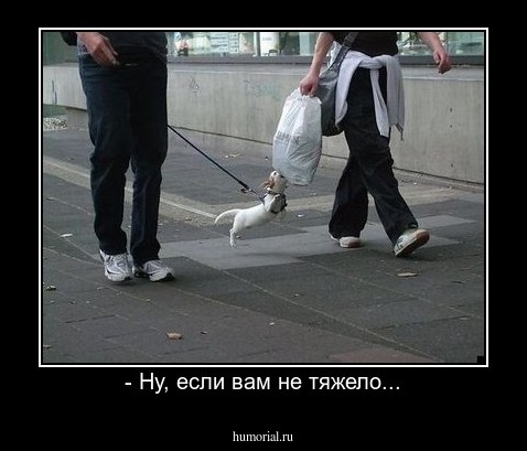 - Ну, если вам не тяжело...