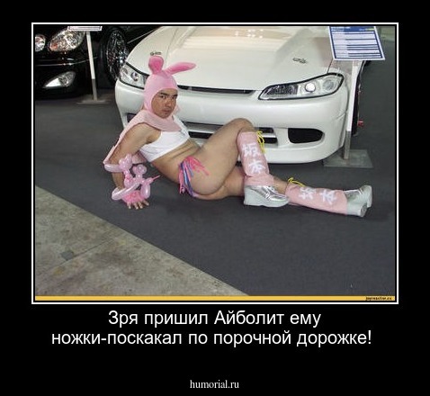 Зря пришил Айболит ему ножки-поскакал по порочной дорожке!