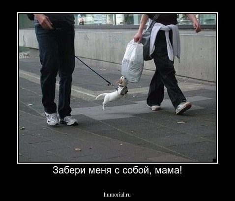 Забери меня с собой, мама!