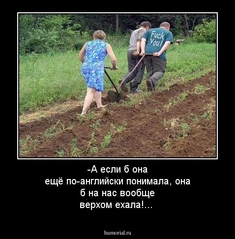   -А если б она ещё по-английски понимала, она б на нас вообще верхом ехала!...