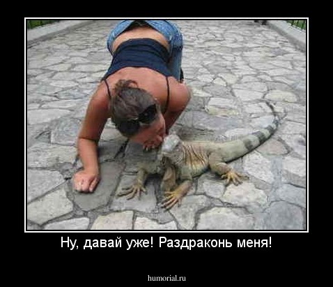 Ну, давай уже! Раздраконь меня!