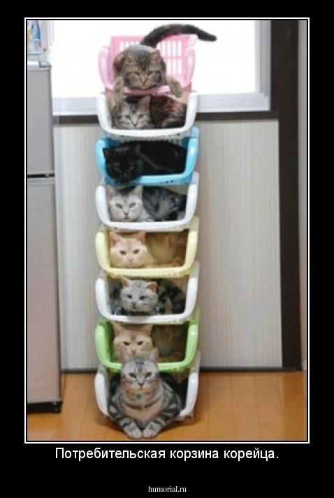 Потребительская корзина корейца.