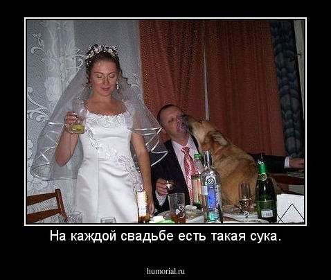 На каждой свадьбе есть такая сука.