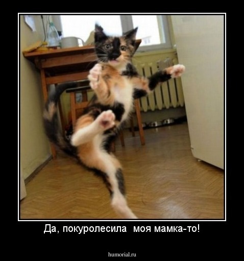 Да, покуролесила  моя мамка-то!