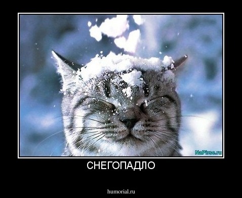 СНЕГОПАДЛО