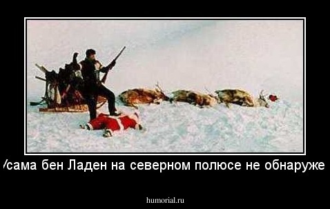 Усама бен Ладен на северном полюсе не обнаружен