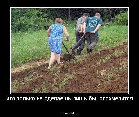 что только не сделаешь лишь бы  опохмелится