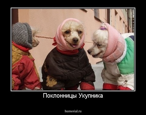 Поклонницы Укупника