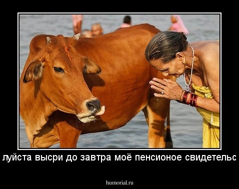 Пожалуйста высри до завтра моё пенсионое свидетельство!!!