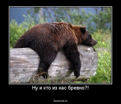 Ну и кто из нас бревно?!
