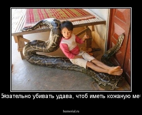 Не обязательно убивать удава, чтоб иметь кожаную мебель.